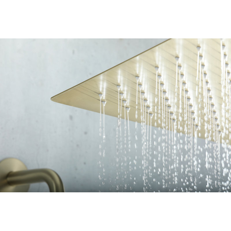 Wonderland America Shower Faucet with Rough inValve & Reviews Wayfair